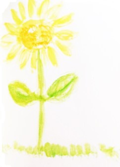 Sunflower 1-2